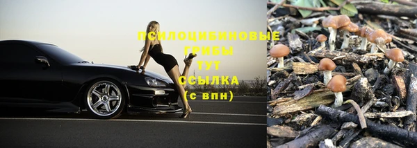 дурь Алексин