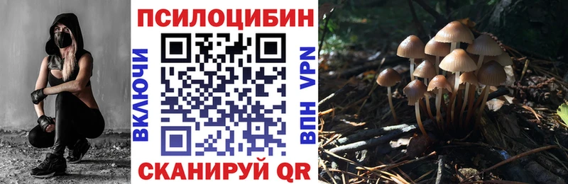 Галлюциногенные грибы прущие грибы  Суджа 